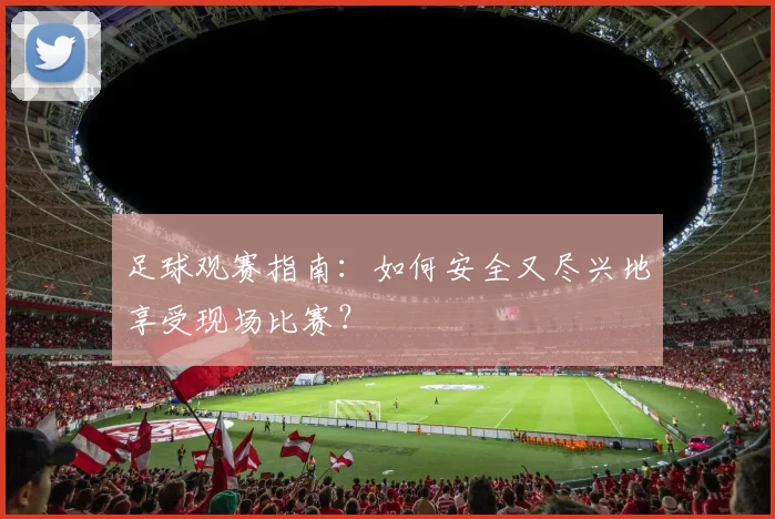 足球观赛指南：如何安全又尽兴地享受现场比赛？