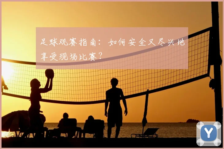 足球观赛指南：如何安全又尽兴地享受现场比赛？