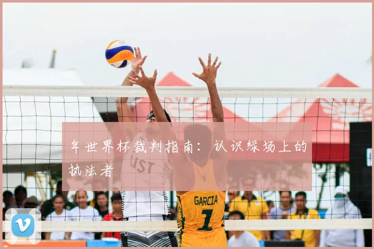 年世界杯裁判指南：认识绿场上的执法者